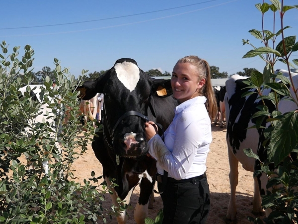 Fête de l'agriculture 2021 : les meilleures photos des concours bovin