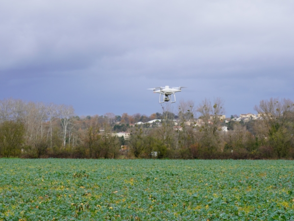 Optimiser l’apport d’engrais grâce au drone