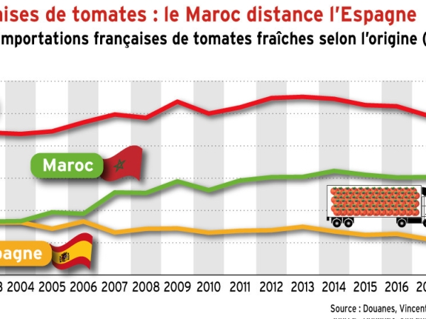 Les tomates marocaines distancent les espagnoles