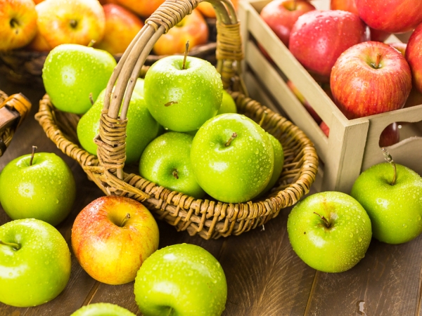 Pommes et poires : une récolte européenne en hausse