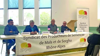 Pour les multiplicateurs de semences, le compte n'y est pas