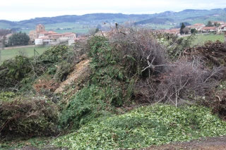 Deuxième vie pour les déchets verts