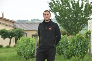 La vigne en héritage