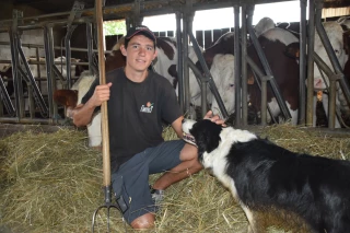 Album Photo : chez Florent Bouchard, adhérent Jeunes agriculteurs et éleveur laitier à Pollionnay