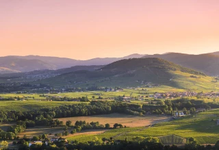 Fréquentation record