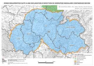 <B>Mouvements : les règles s’a</B><B>ssouplissent</B>