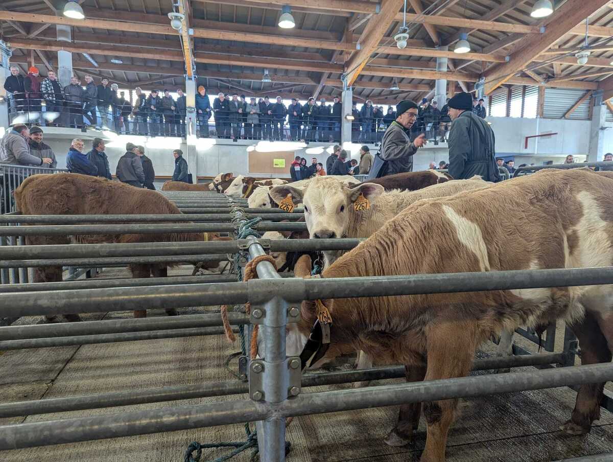 Réouverture  le 5 janvier