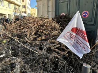 Coteaux du Lyonnais : une pépite à révéler