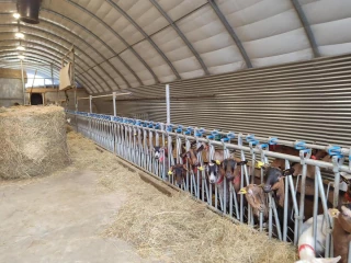 Un groupe dynamique au service de la filière