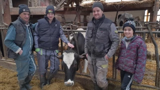 Production et longévité : Limite, la vache sans limites