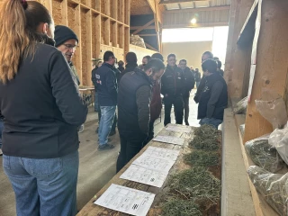 Une stratégie fourragère résiliente pour demain