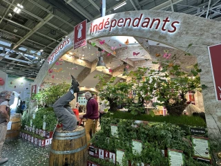 Remettre la vigne au cœur du village