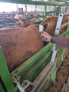 Crise DNC : l’aide précieuse des anciens