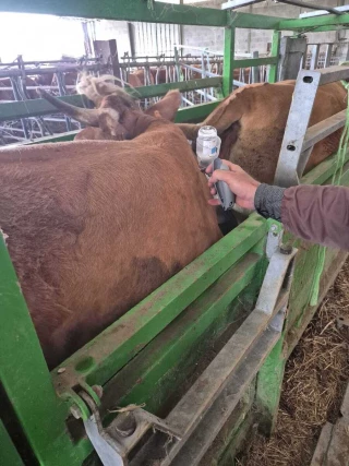 Crise DNC : l’aide précieuse des anciens