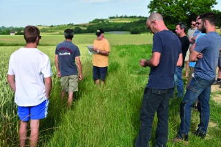 Naissance du GIE Céréales bio  du Lyonnais