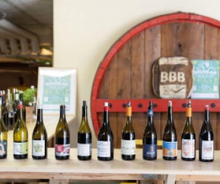 Le vin bio en fête