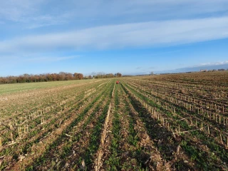 Payés pour préserver l’eau