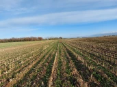 Payés pour préserver l’eau