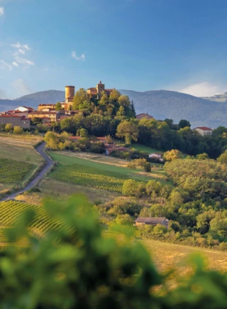 Le Beaujolais 2026, « terre de partage » 