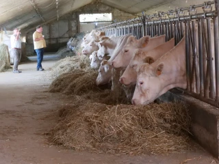 Les clés de la performance