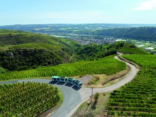 Un vignoble à vivre en grand