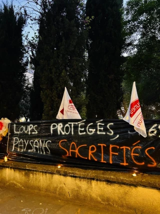 Action choc contre le loup