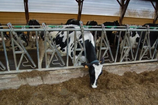 Rassuré en cas d’absence