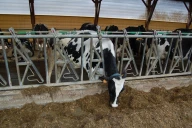 Rassuré en cas d’absence