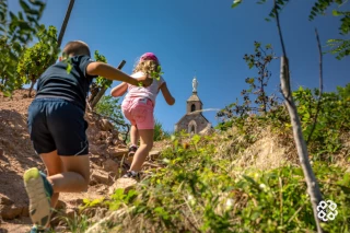 Trésor en vignes
