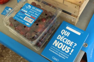 Le juste fruit