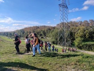 Balade au fil des bois