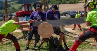 Quand la forêt se raconte