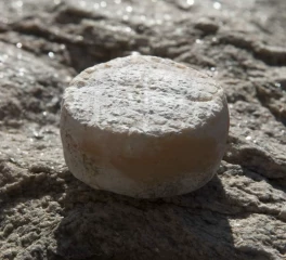 Une petite appellation tournée vers l’avenir
