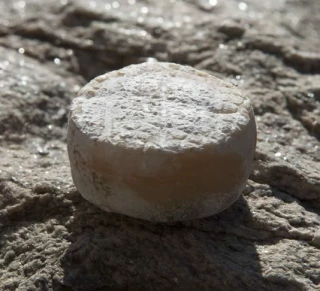 Une petite appellation tournée vers l’avenir