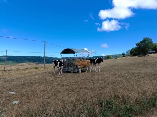 L’agriculture réclame des actes