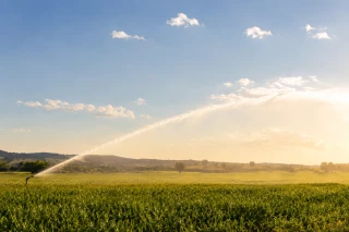 Dans le Rhône, l’eau sous haute tension
