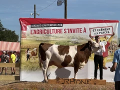 Grand retour sur le ring