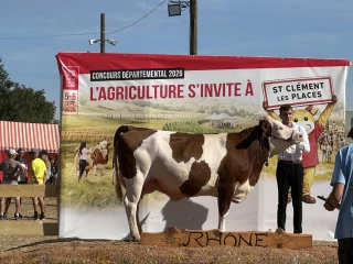 Grand retour sur le ring
