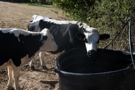 Comment vont les agriculteurs du Rhône ?