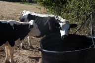 Comment vont les agriculteurs du Rhône ?