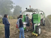 Des robots dans les vignes
