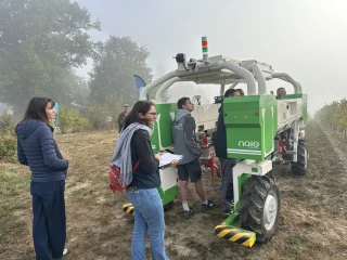 Des robots dans les vignes
