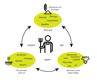 Sol-Fourrage-Animaux, une formation qui a du bon