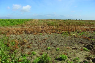  L’agriculture grecque, entre modernisme et incertitudes