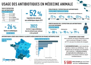 Les antibiotiques, une pratique bien moins automatique