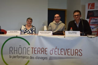 La force de l’action collective