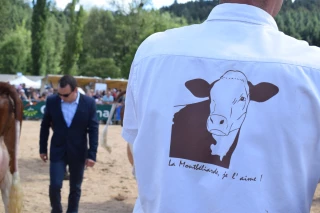 Vidéo : Jean-Baptiste Pardon sur le ring des montbéliardes