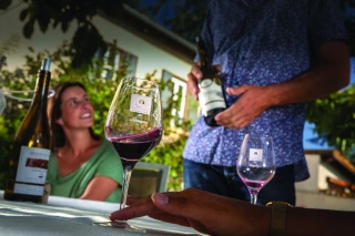 Le label Vignobles et Découvertes renouvelé pour 3 ans 