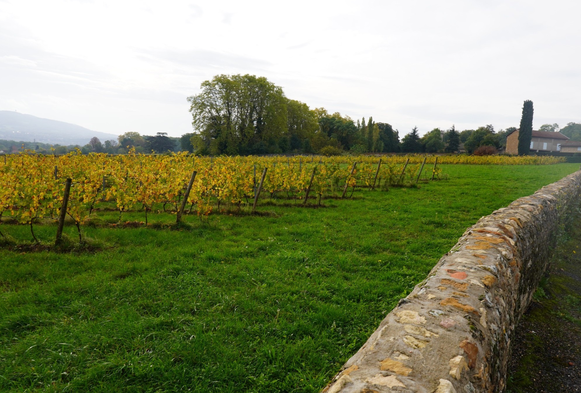 « La campagne va se révéler correcte »