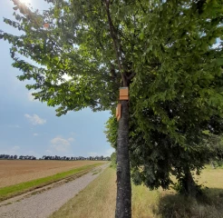 Des nichoirs installés près des parcelles